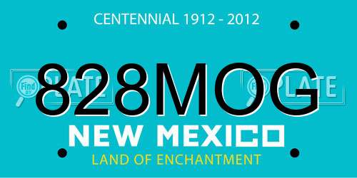 828MOG New Mexico License Plate