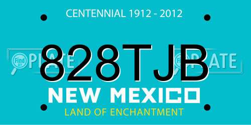 828TJB New Mexico License Plate