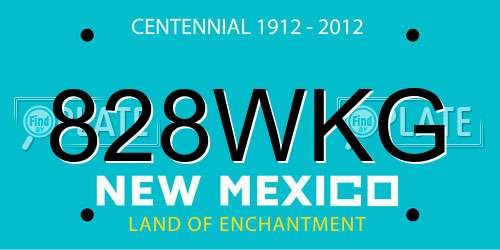 828WKG New Mexico License Plate