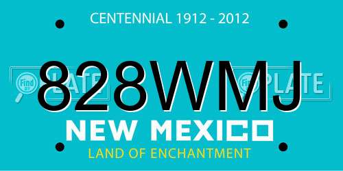 828WMJ New Mexico License Plate