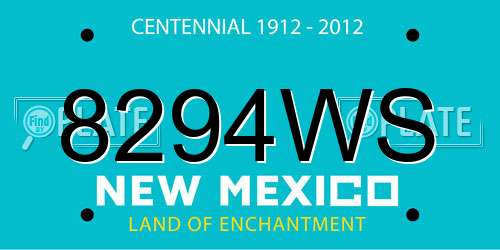 8294WS New Mexico License Plate