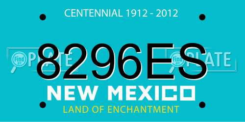 8296ES New Mexico License Plate