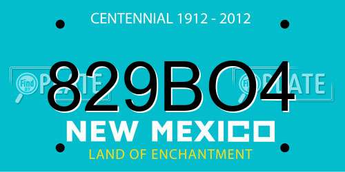 829BO4 New Mexico License Plate