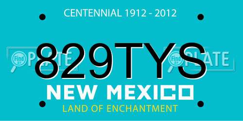 829TYS New Mexico License Plate