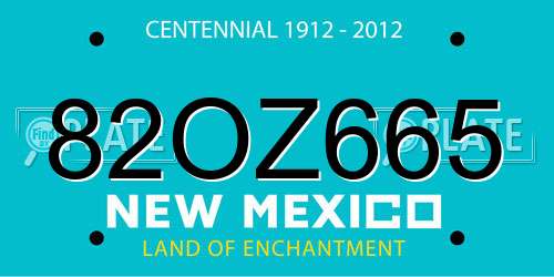 82OZ665 New Mexico License Plate