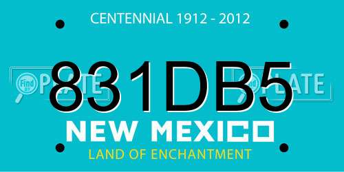 831DB5 New Mexico License Plate
