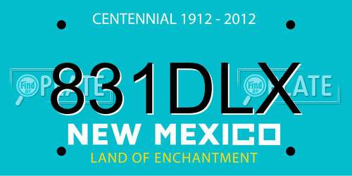 831DLX New Mexico License Plate