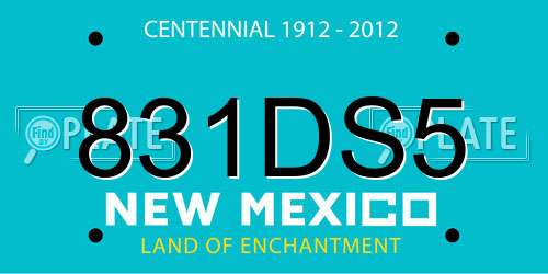 831DS5 New Mexico License Plate