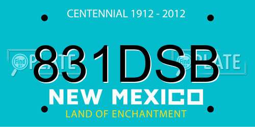 831DSB New Mexico License Plate
