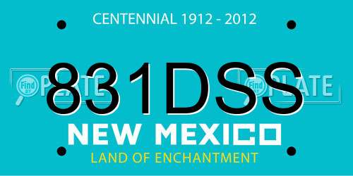831DSS New Mexico License Plate