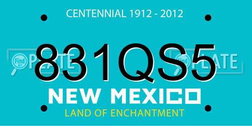831QS5 New Mexico License Plate