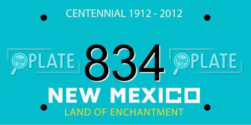 834 New Mexico License Plate