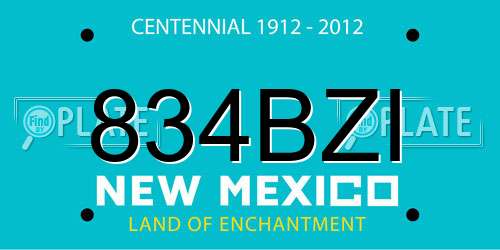 834BZI New Mexico License Plate