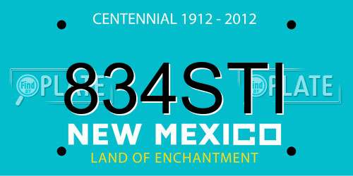 834STI New Mexico License Plate
