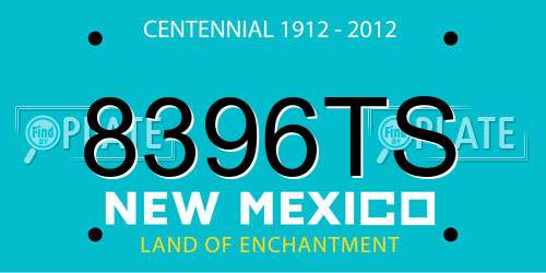 8396TS New Mexico License Plate