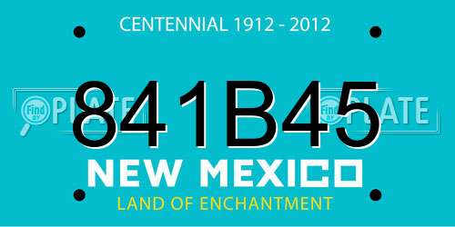 841B45 New Mexico License Plate