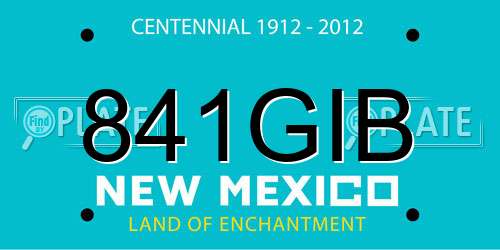 841GIB New Mexico License Plate