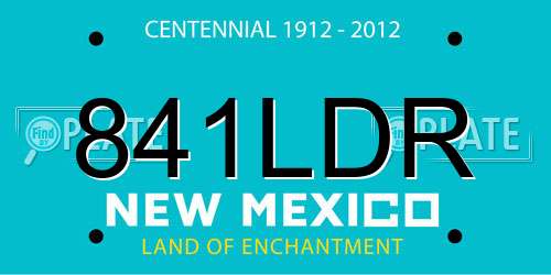 841LDR New Mexico License Plate