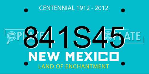 841S45 New Mexico License Plate