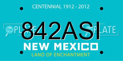 842ASI New Mexico License Plate