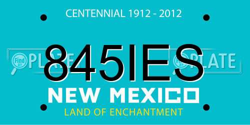 845IES New Mexico License Plate