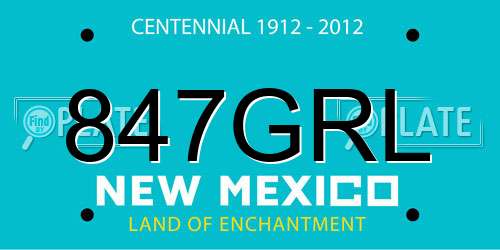 847GRL New Mexico License Plate