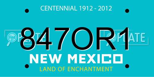847OR1 New Mexico License Plate