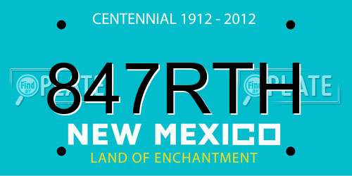 847RTH New Mexico License Plate