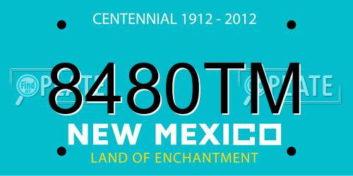 8480TM New Mexico License Plate