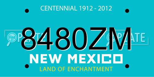 8480ZM New Mexico License Plate