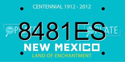 8481ES New Mexico License Plate