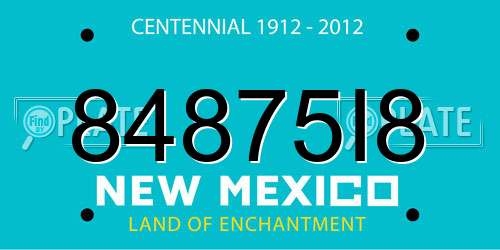 84875I8 New Mexico License Plate