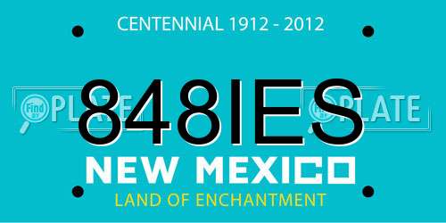 848IES New Mexico License Plate