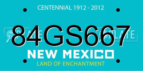 84GS667 New Mexico License Plate
