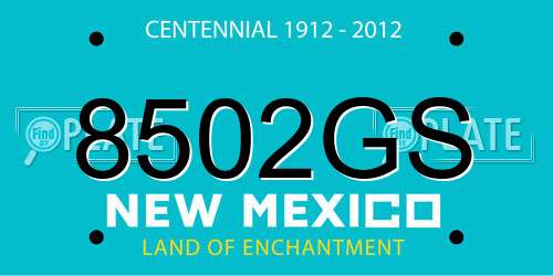 8502GS New Mexico License Plate