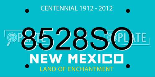 8528SO New Mexico License Plate