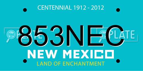 853NEC New Mexico License Plate