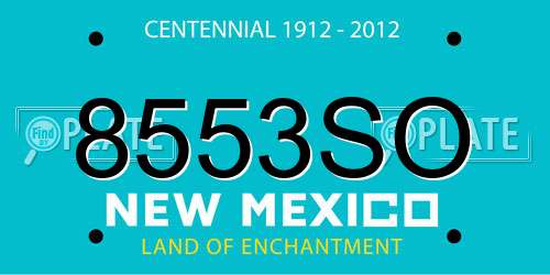 8553SO New Mexico License Plate