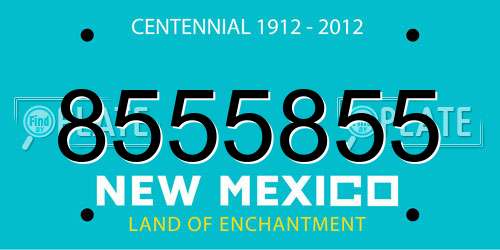 8555855 New Mexico License Plate