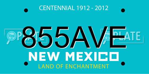855AVE New Mexico License Plate