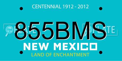 855BMS New Mexico License Plate