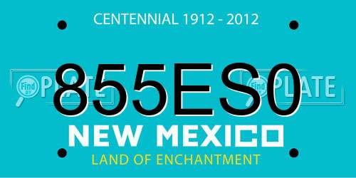 855ES0 New Mexico License Plate