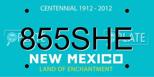 855SHE New Mexico License Plate