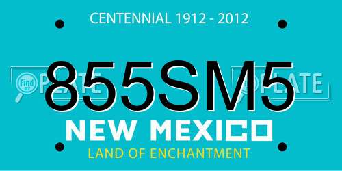 855SM5 New Mexico License Plate
