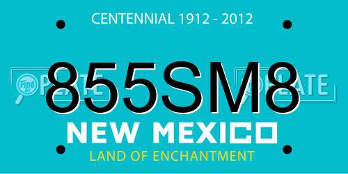 855SM8 New Mexico License Plate