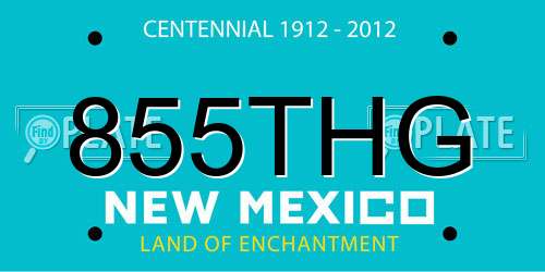 855THG New Mexico License Plate