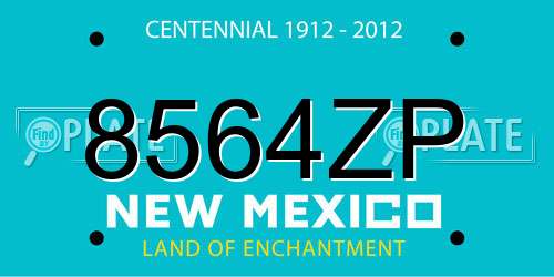 8564ZP New Mexico License Plate