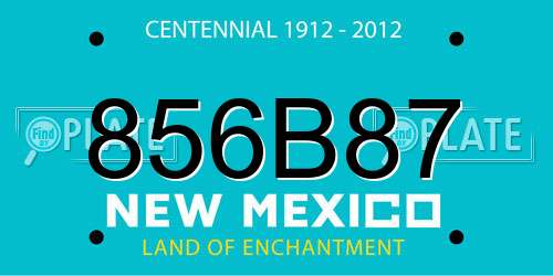 856B87 New Mexico License Plate