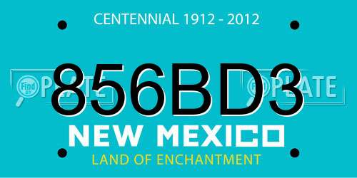 856BD3 New Mexico License Plate
