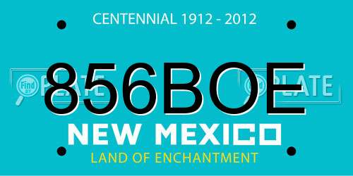 856BOE New Mexico License Plate